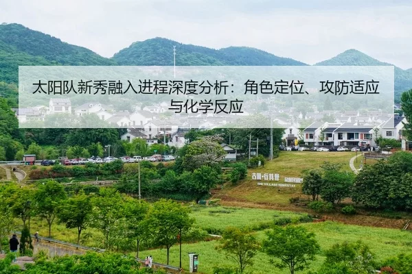太阳队新秀融入进程深度分析：角色定位、攻防适应与化学反应