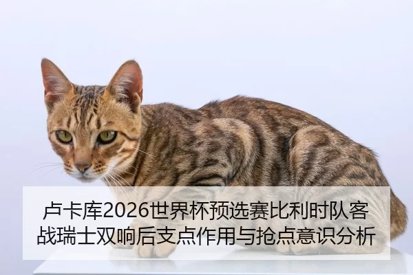 卢卡库2026世界杯预选赛比利时队客战瑞士双响后支点作用与抢点意识分析