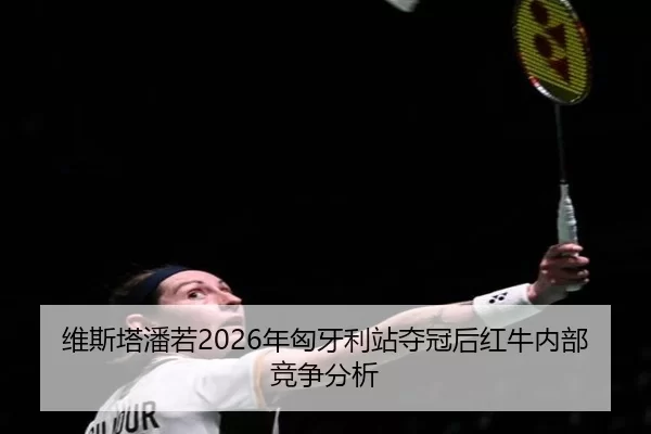 wei-si-ta-pan-ruo-nian-xiong-ya-li-zhan-duo-guan-hou-hong-niu-nei-bu-jing-zheng-fen-xi-2-469.jpg